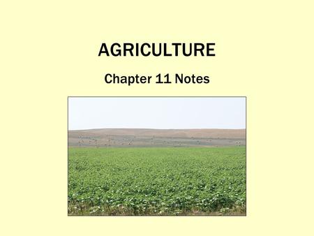 AGRICULTURE Chapter 11 Notes. Bellringer What are 2 possible reasons why Americans today eat significantly more fast food & processed (factory-made) foods.