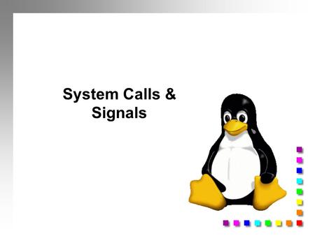 System Calls & Signals. setsockopt n Used to set socket options n SO_LINGER - Sets or gets the SO_LINGER option. The argument is a linger structure. n.