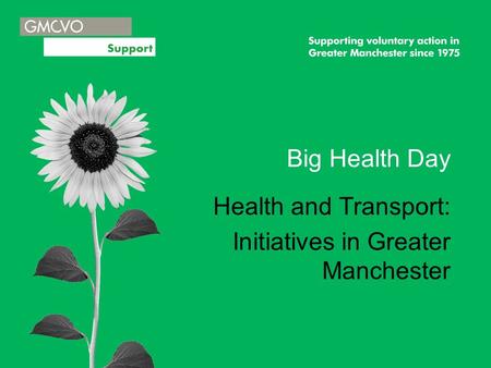 Big Health Day Health and Transport: Initiatives in Greater Manchester.