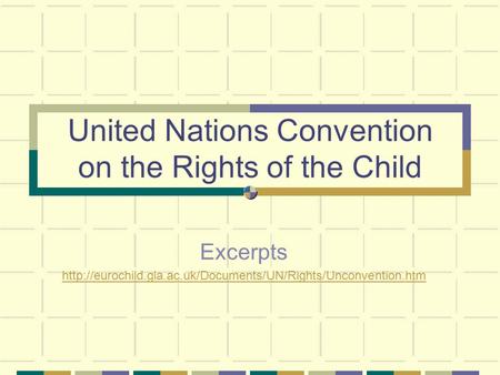 United Nations Convention on the Rights of the Child Excerpts