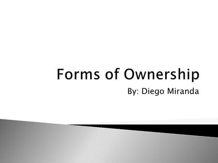 By: Diego Miranda.  When an individual owns and operates there own business. There is very little government regulations, but there are great risk for.