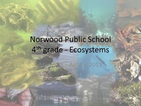 Norwood Public School 4 th grade - Ecosystems March 25 – April 3, 2013 Image reference:  e1317398849506.jpg.