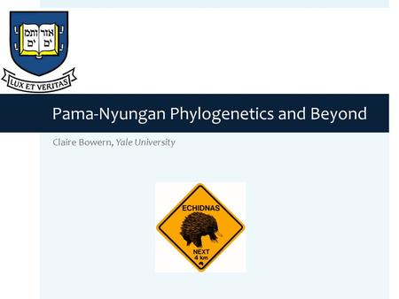 Pama-Nyungan Phylogenetics and Beyond Claire Bowern, Yale University.