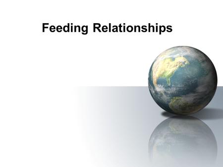 Feeding Relationships. Give Me Energy or Give Me Death!!! (not quite Patrick Henry) All organisms need energy to live. 3 Types of Organisms –Producers.