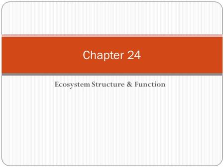 Ecosystem Structure & Function Chapter 24. Questions to Answer Based on the vegetation in the picture on 632, what inference can you make about the.