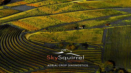 AERIAL CROP DIAGNOSTICS