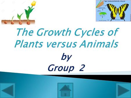 By Group 2. The major stages of the plant life cycle are as follows: SSeed Stage-The plant life cycle starts with a seed; every seed holds a miniature.