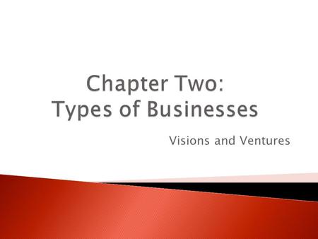 Chapter Two: Types of Businesses