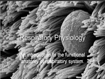 Basics of the Respiratory System Respiration What is respiration? –Respiration = the series of exchanges that leads to the uptake of oxygen by the cells,