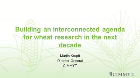 Building an interconnected agenda for wheat research in the next decade Martin Kropff Director General CIMMYT.