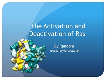 The Activation and Deactivation of Ras By Random Kamil, Ruiyan, and Alina.