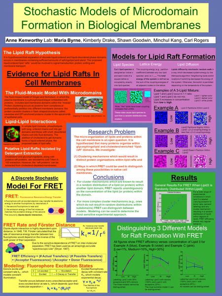 Stochastic Models of Microdomain Formation in Biological Membranes Anne Kenworthy Lab: Maria Byrne, Kimberly Drake, Shawn Goodwin, Minchul Kang, Carl Rogers.