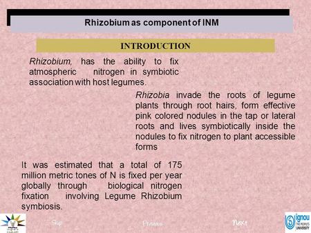 INTRODUCTION Rhizobium, has the ability to fix atmospheric nitrogen in symbiotic association with host legumes. Rhizobia invade the roots of legume plants.