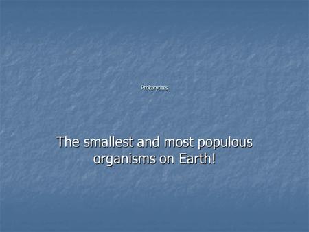 Prokaryotes The smallest and most populous organisms on Earth!