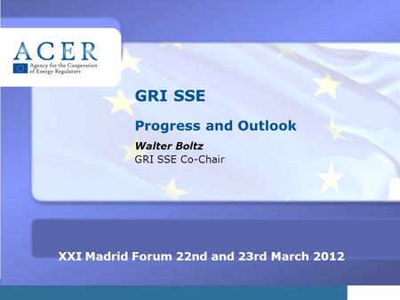 TITRE XXI Madrid Forum 22nd and 23rd March 2012 GRI SSE Progress and Outlook Walter Boltz GRI SSE Co-Chair.