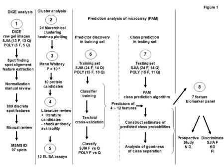 Predictor discovery in training set 6 Training set SJIA (24 F, 14 Q) POLY (15 F, 10 Q) 1 DIGE raw gel images SJIA (13 F, 13 Q) POLY (5 F, 5 Q) Spot finding.