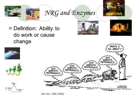 NRG and Enzymes Definition: Ability to do work or cause change.