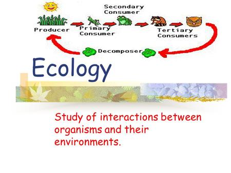 Study of interactions between organisms and their environments. Ecology.