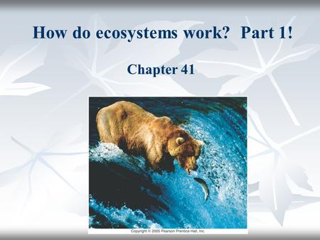 How do ecosystems work? Part 1!