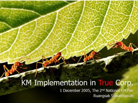 Knowledge Management True Corporation KM Implementation in True Corp. 1 December 2005, The 2 nd National KM Fair Ruangsak Sriwatthanah.