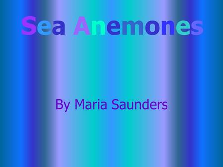 By Maria Saunders Sea AnemonesSea Anemones Sea Anemone Sea anemones are also called powder puffs, white plumes, and dahlias. They can be red, green,