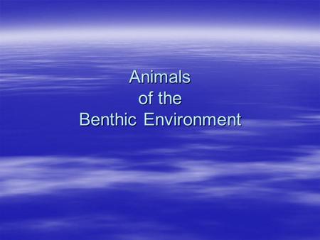 Animals of the Benthic Environment. I. Rocky Shores A. Suproalittoral zone – (spray zone) – must avoid drying out, many have shells. a. Rock lice or sea.