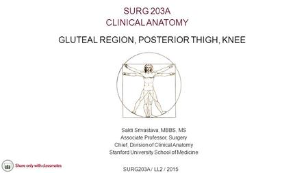 GLUTEAL REGION, POSTERIOR THIGH, KNEE