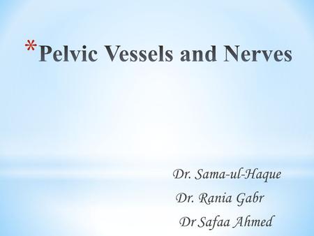 Dr. Sama-ul-Haque Dr. Rania Gabr Dr Safaa Ahmed.  Describe the origin, termination, course and branches of the internal iliac artery.  Discuss the origin,