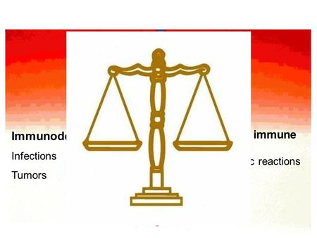 Immunodeficiency Infections Tumors Hyperactive immune response Severe allergic reactions Autoimmunity.