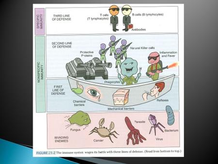 Chapter 6 Adaptive Immunity “third line of defense”  Develops more slowly  Specific  Memory.