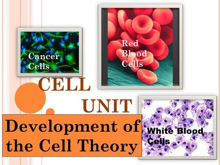 Development of the Cell Theory