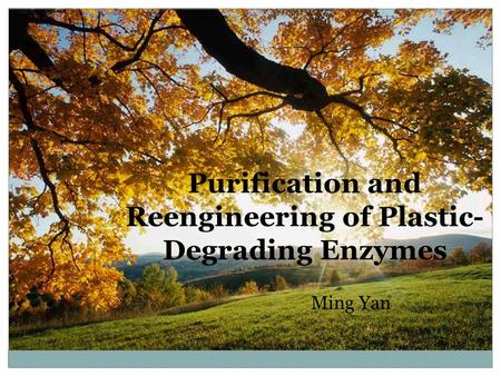 Ming Yan Purification and Reengineering of Plastic- Degrading Enzymes.