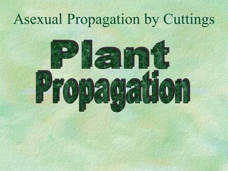 Asexual Propagation by Cuttings. Table of Contents §Introduction to Plant Propagation §Sexual Propagation §Asexual Propagation l Stem, Leaf, Cuttings.