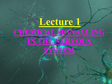 Lecture 1 CHEMICAL SIGNALLING IN THE NERVOUS SYSTEM