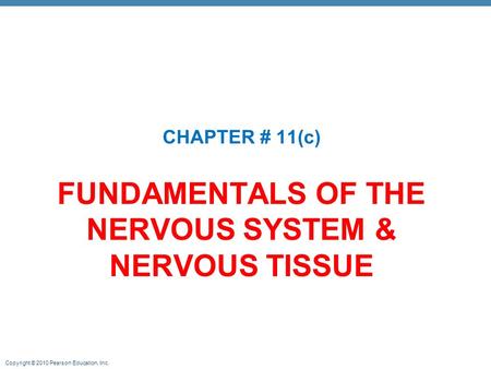 FUNDAMENTALS OF THE NERVOUS SYSTEM & NERVOUS TISSUE