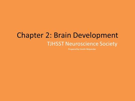 Chapter 2: Brain Development