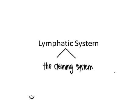 Lymphatic System.