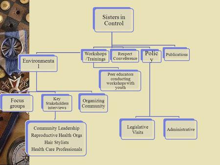 Sisters in Control Environmenta l Focus groups Key Stakeholders interviews Community Leadership Reproductive Health Orgs Hair Stylists Health Care Professionals.