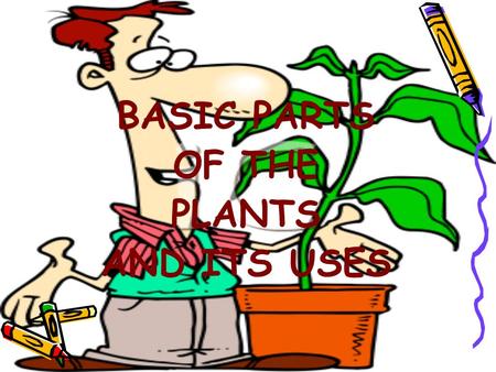 BASIC PARTS OF THE PLANTS AND ITS USES. Unit Summary –Plants are alive, just like people and animals. They grow and die, need energy, nutrients, air,