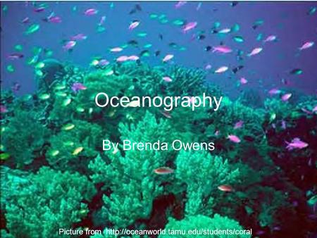 Oceanography By Brenda Owens Picture from