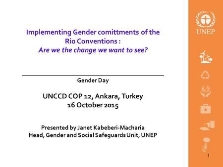 . Implementing Gender comittments of the Rio Conventions : Are we the change we want to see? _______________________________________________ Gender Day.