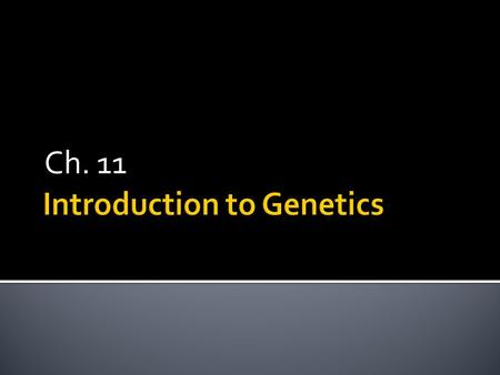 Ch. 11. A Brief History In the past, people did not understand how traits were inherited, but there were many guesses based on things that could be observed.