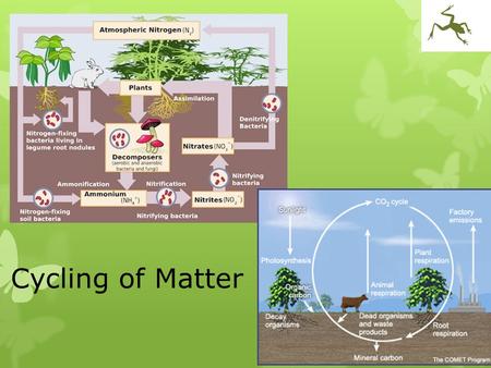 Cycling of Matter.