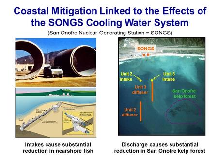 Coastal Mitigation Linked to the Effects of the SONGS Cooling Water System (San Onofre Nuclear Generating Station = SONGS) Unit 3 diffuser Unit 2 diffuser.