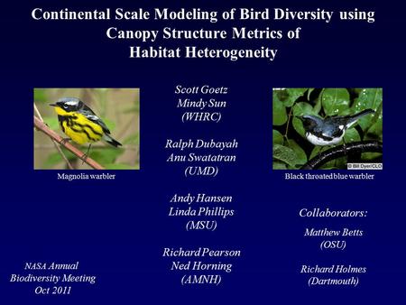 Continental Scale Modeling of Bird Diversity using Canopy Structure Metrics of Habitat Heterogeneity Scott Goetz Mindy Sun (WHRC) Ralph Dubayah Anu Swatatran.