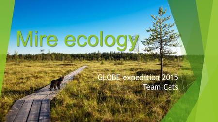 Mire ecology GLOBE expedition 2015 Team Cats. Objective To analyse interactions between vegetation and environmental factors in the Koitjärve raised bog.