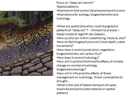 Focus on “deep soil column” Spatial patterns Mechanism that control development and function Implications for ecology, biogeochemistry and hydrology What.