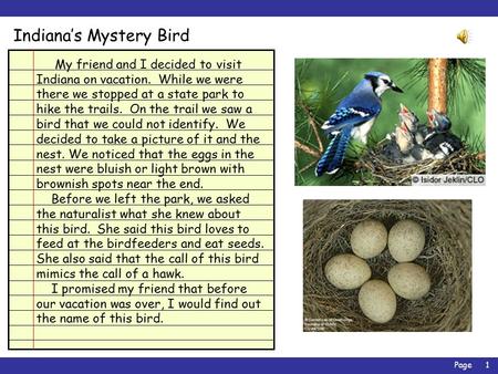 Page1 Indiana’s Mystery Bird My friend and I decided to visit Indiana on vacation. While we were there we stopped at a state park to hike the trails.