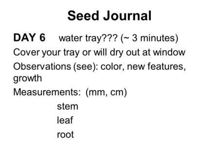 Seed Journal DAY 6 water tray??? (~ 3 minutes)