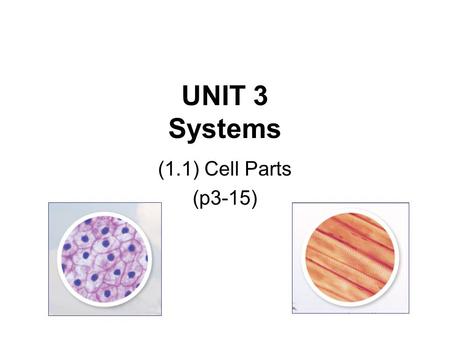 UNIT 3 Systems (1.1) Cell Parts (p3-15). WHAT YOU WILL LEARN: Special structures of cells which perform important life functions. Technologies used to.